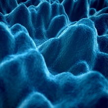 silicon. 